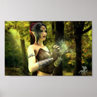 Póster Chamada de Wild