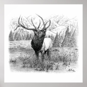 Póster Chamada do Rei