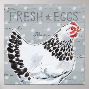 Póster Chamada II dos galos