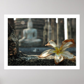 Poster chamando a terra a testemunhar