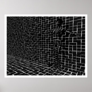 Póster Chamelea
