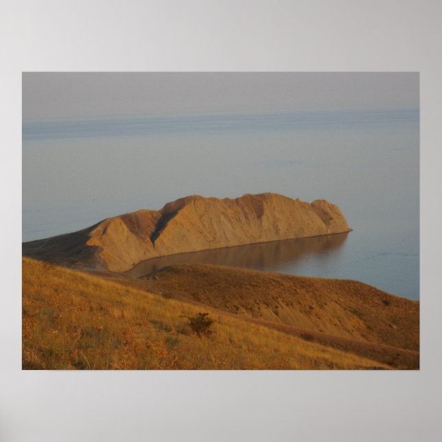 Poster Chameleon (Frente)