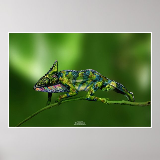 Poster Chameleon by Johannes Stötter (Frente)