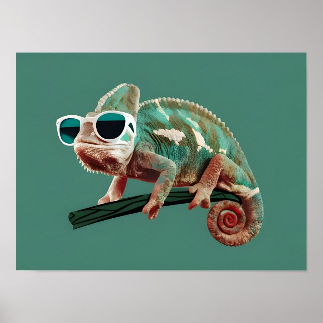 Poster Chameleon Vestindo óculos de sol em fundo sólido (Frente)