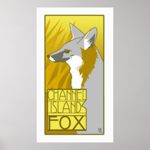 Póster Channel Island Fox