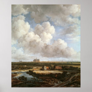 Póster Chão de Branqueamento