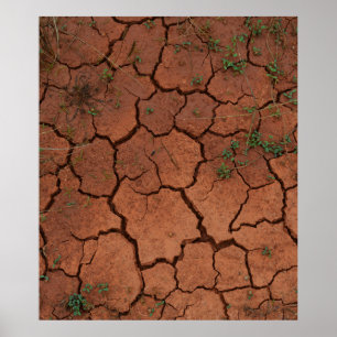 Poster chão seco e rachado