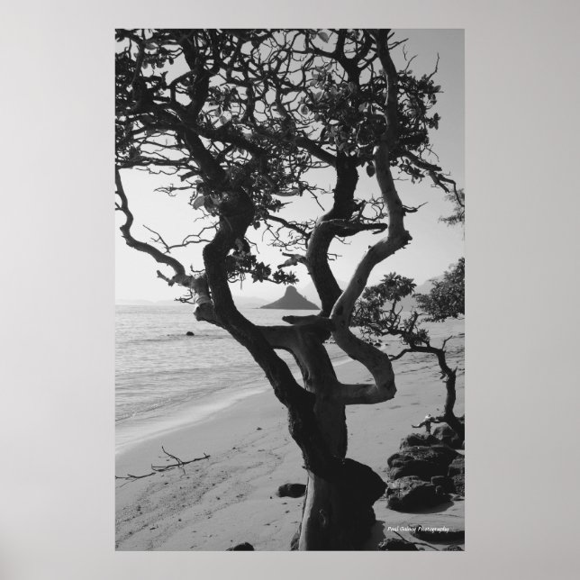 Poster Chapéu Chinês (Frente)