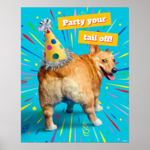 Poster Chapéu de Aniversário Bumbum de Corgi