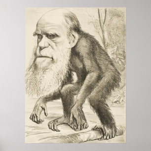 Poster Charles Darwin