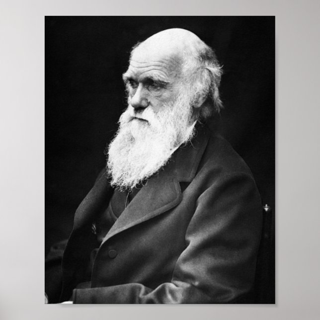 Poster Charles Darwin (Frente)
