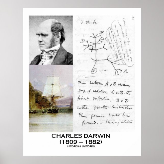 Poster Charles Darwin Collage HMS Beagle Evolution (Frente)