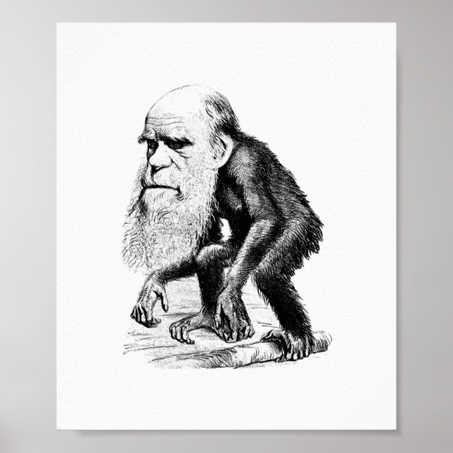 Póster Charles Darwin Como Um Epe (Frente)