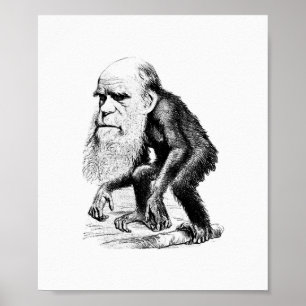 Póster Charles Darwin como um macaco