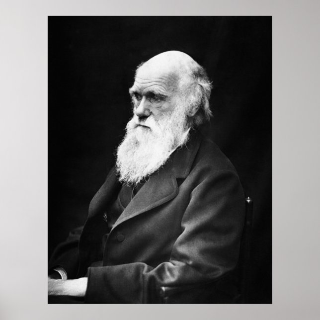 Poster Charles Darwin Portrait (Frente)