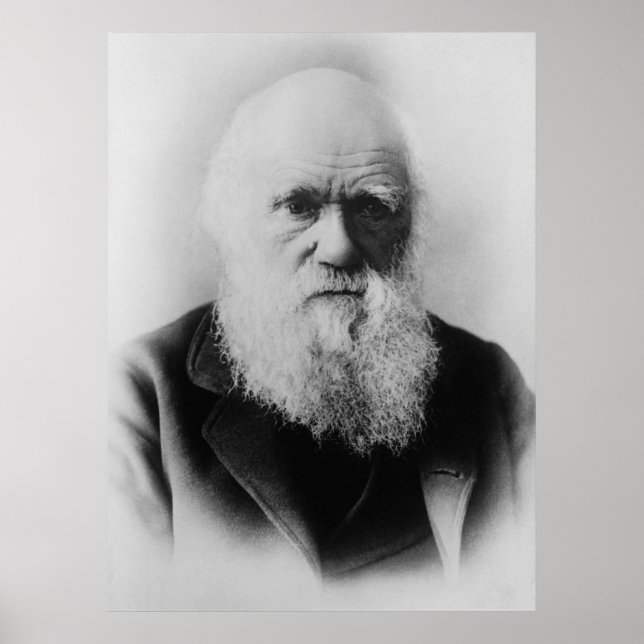 Póster Charles Darwin Retrait por Elliott e Fry (Frente)