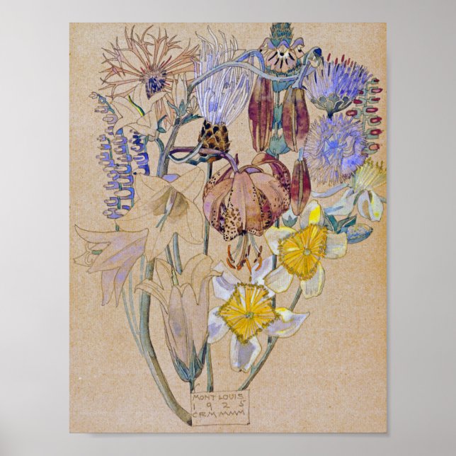 Poster Charles Rennie Mackintosh - Mont Louis - Flor (Frente)