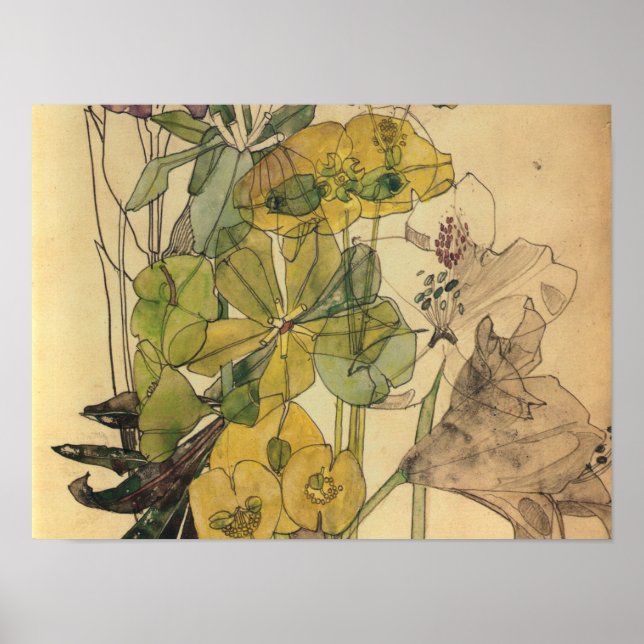 Poster Charles Rennie Mackintosh - Spurge Com Yham 1909 (Frente)