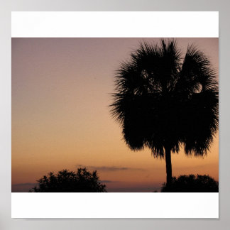 Póster Charleston Palm