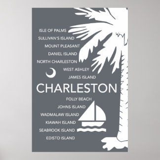 Póster Charleston SC Towers - Carvão