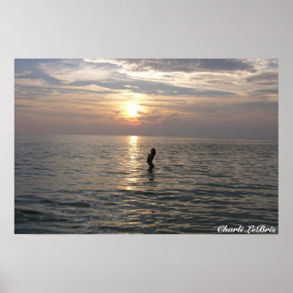 Póster Charli na praia