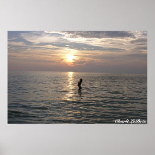 Póster Charli na praia do th