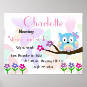 Póster Charlotte Name que significa manutenção
