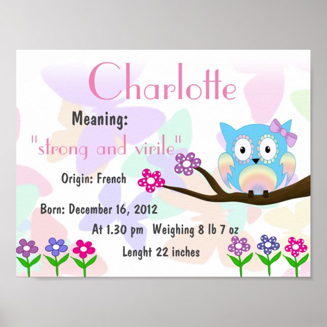 Póster Charlotte Name que significa manutenção (Frente)