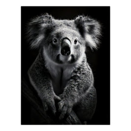 Póster Charming Black & White Koala Fine Art Print |