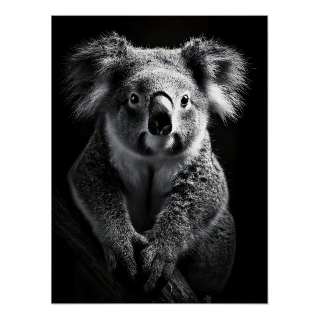 Póster Charming Black & White Koala Fine Art Print | (Frente)