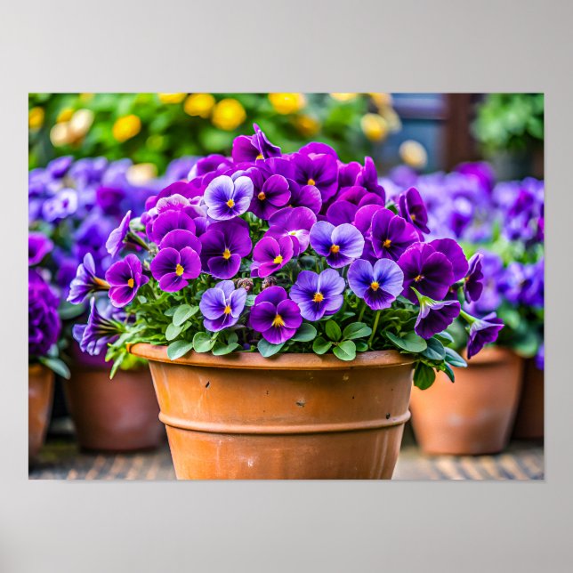 Poster Charming violet flower pot (Frente)