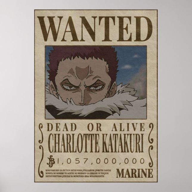 Poster CHAROLETTE KATAKURI Uma peça queria (Frente)