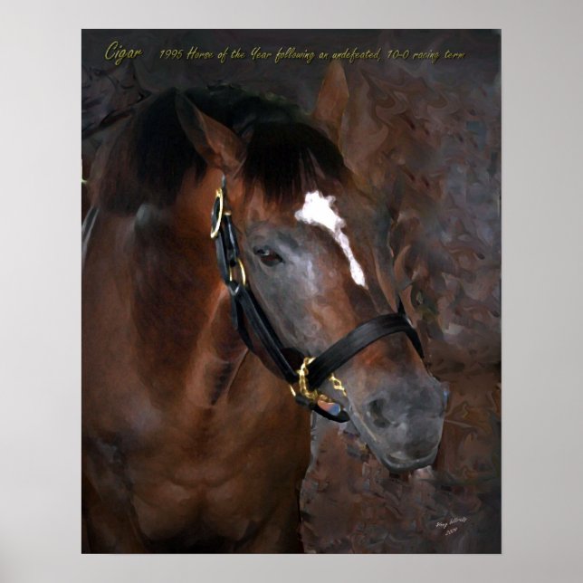 Póster Charuto (Frente)