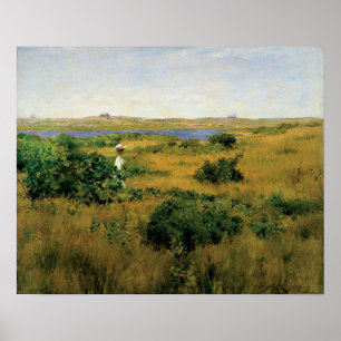 Poster Chase - Verão Em Colinas De Choque