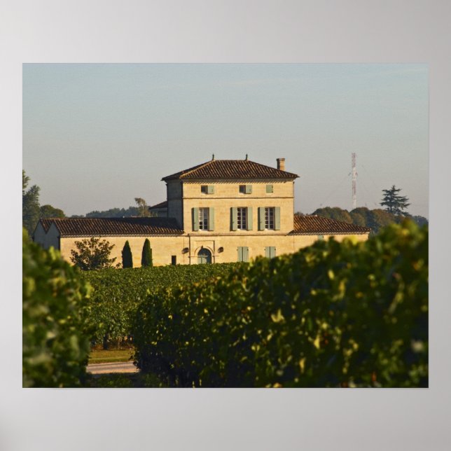 Póster Chateau Lafleur Petrus e vinhedo, em Pomerol, (Frente)