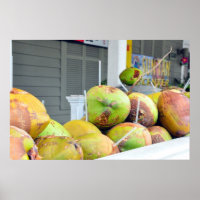 Chave de Água de Coco Chave Oeste FL Coconuts Post