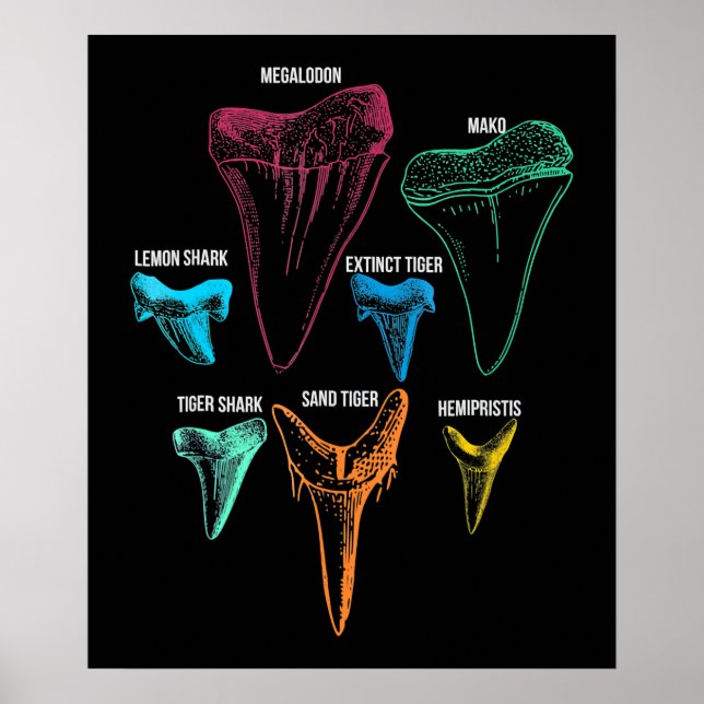 Poster Chave de Identidade de Caça de Dentes de Tubarão (Frente)