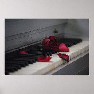 Póster Chaves do piano com uma rosa vermelha