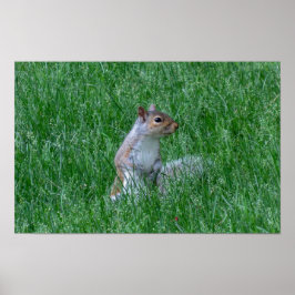 Poster Checking it Out