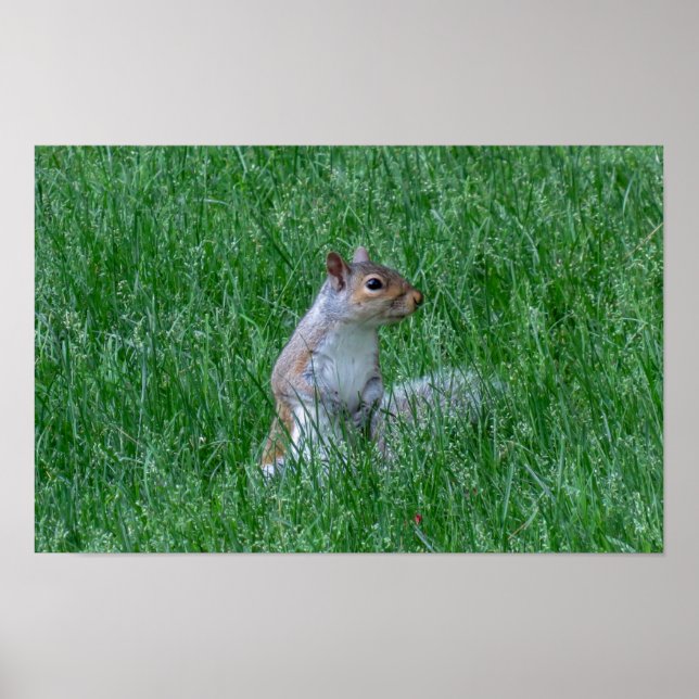 Poster Checking it Out (Frente)