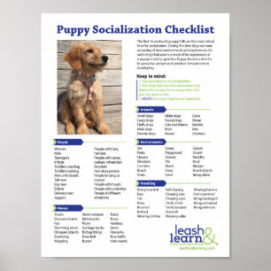 Poster Checklist para a socialização de uppy