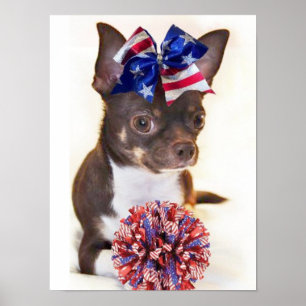 Poster Cheerleader Chihuahua