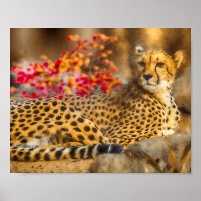 POSTER CHEETAH APENAS CHILLIN (Frente)