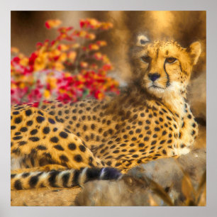POSTER CHEETAH APENAS CHILLIN