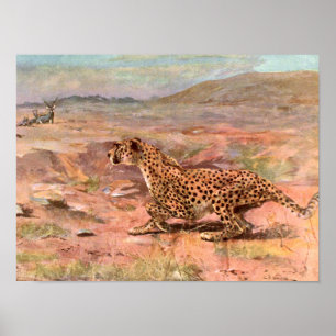 Póster Cheetah e Antílopes por Swan, Animal Selvagem Vint