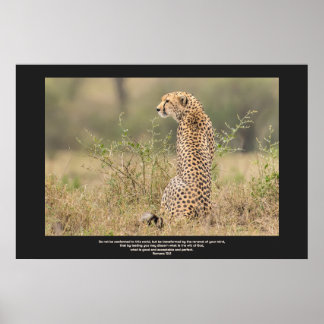 Poster Cheetah Em Texto Personalizado De Contemplação Sil