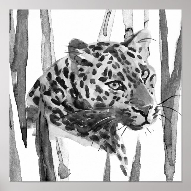 Poster Cheetah Portrait (Frente)