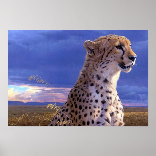 Poster-Cheetah Poster (Frente)