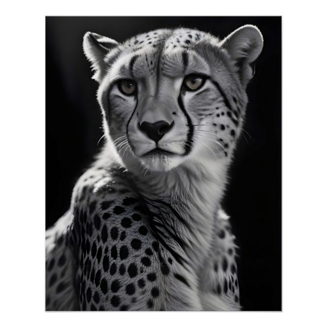 Póster Cheetah Willife Wallpaper majestoso da Nature (Frente)