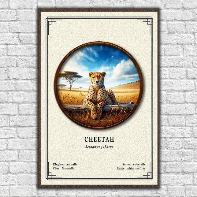 Poster Cheetah Zoology Series (Criador carregado)